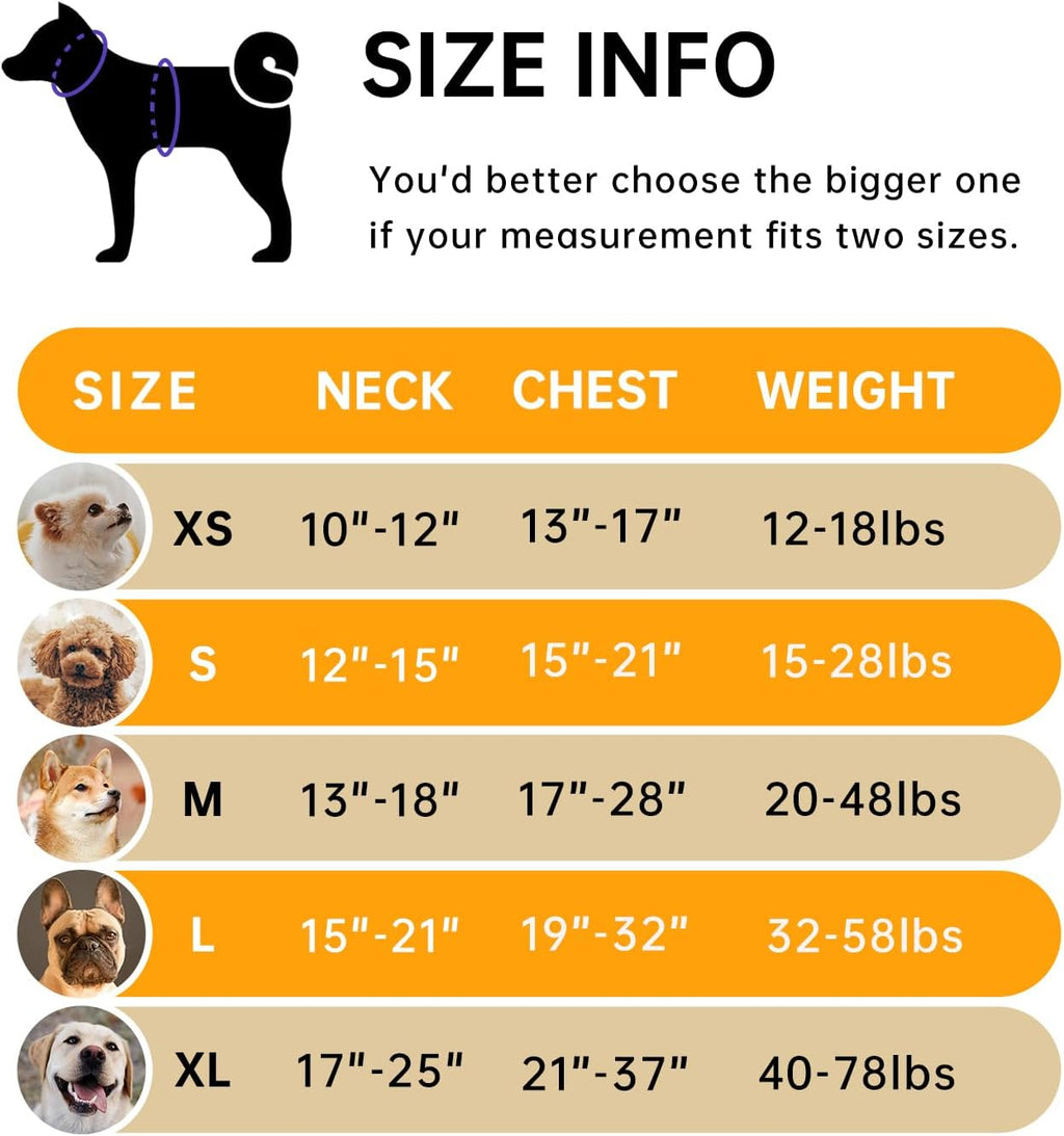 IVY&LANE No Pull Dog Harness for Large Dogs, Dog Vest Harness with Leash, Safety Belt and Storage Strap, Fully Adjustable Harness, 360° Reflective Strip, Soft Handle (Orange,X-Large)