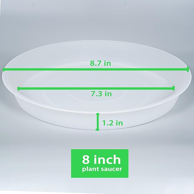6 Pack of 8 inch Plant Saucer Clear, Heavy Duty Plastic Plant Water Tray 8 inch - Image 2