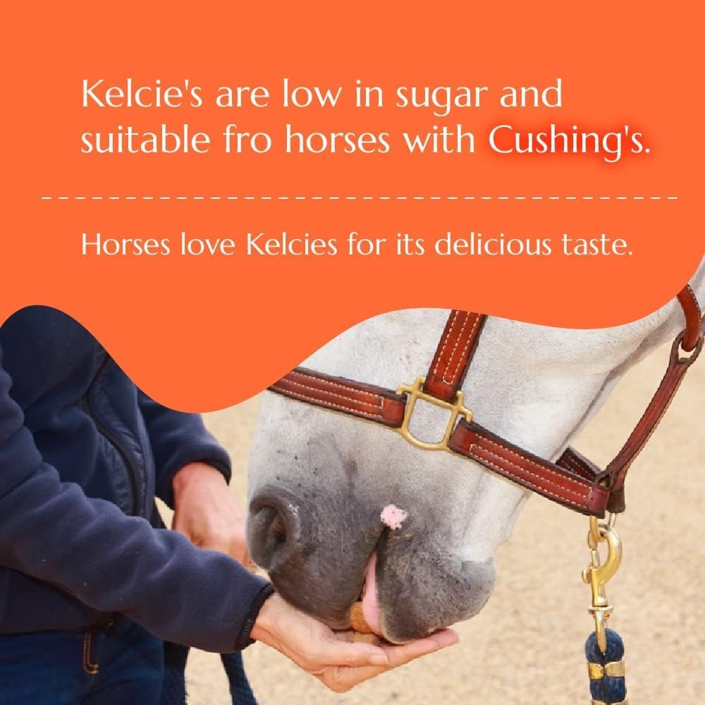 Horses Treats - Low Sugar, Starch, and Carbohydrates | Healthy Treats for Horse Supports Superior Digestion 8 Ounce (1 Pack)