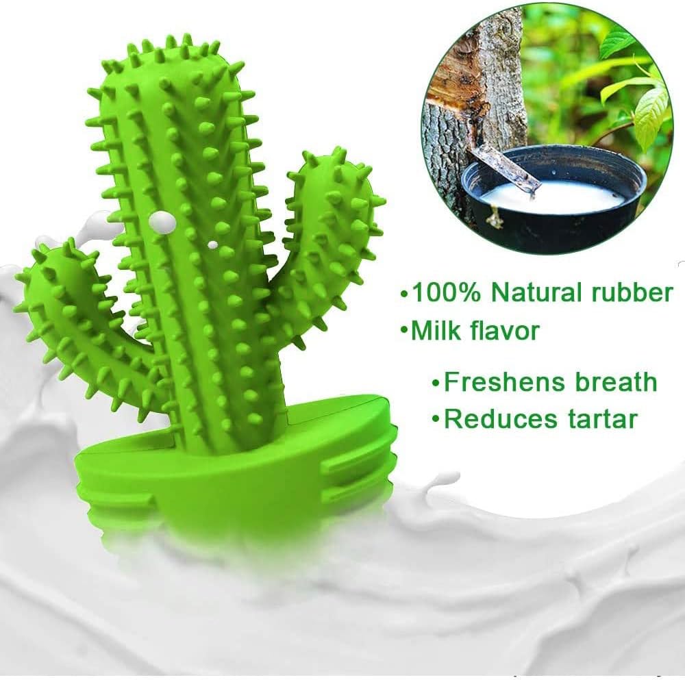 Dog Chew Toys, Toothbrush Stick Teeth Cleaning Brush Dental for Small Medium Large Dog, Rubber Squeaky Toys for Aggressive Chewers Cactus Tough Toys