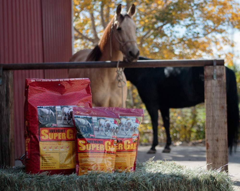 Super Weight Gain 10 lb, Equine Vitamin Mineral, Probiotic & Weight Gain Supplement