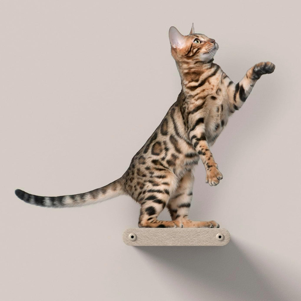Wall Mounted Cat Steps Short Shelves (2) by Pryde Pets - Stairs for Walkways, 100% Sustainable PET Felt Feline Enrichment Climber Furniture for Indoor Cats, Modern Climbing Gym Design (Oatmeal)