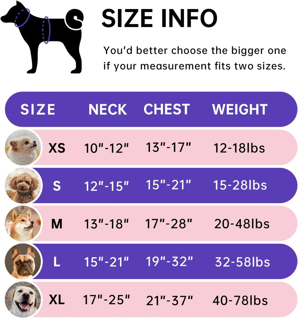 IVY&LANE No Pull Dog Harness for Small Dogs, Dog Vest Harness with Leash, Safety Belt and Storage Strap, Fully Adjustable Harness, 360° Reflective Strip, Soft Handle (Purple, XS)