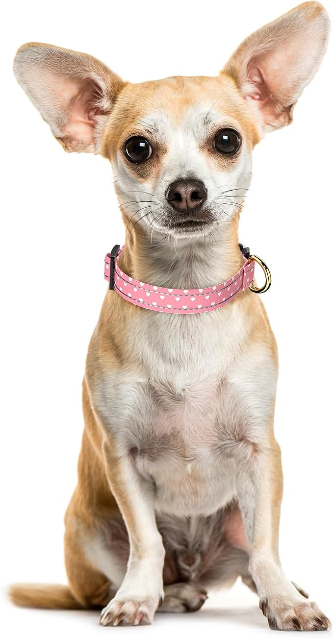 Reflective Dog Collar for Extra Small Dogs, Cute Adjustable Heavy-Duty Nylon - Image 2