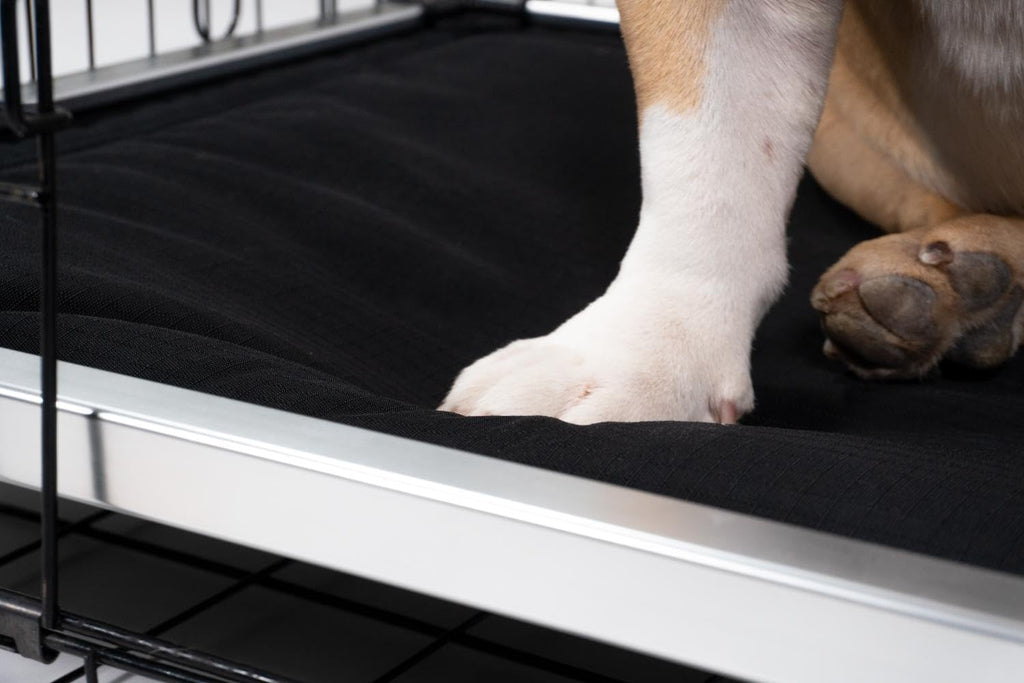 K9 Ballistics Chew Proof Armored Padded Dog Crate Bed, Virtually Indestructible, Legs Included (Blue Quartz, Medium (35" L x 22" W x 4.5" H))