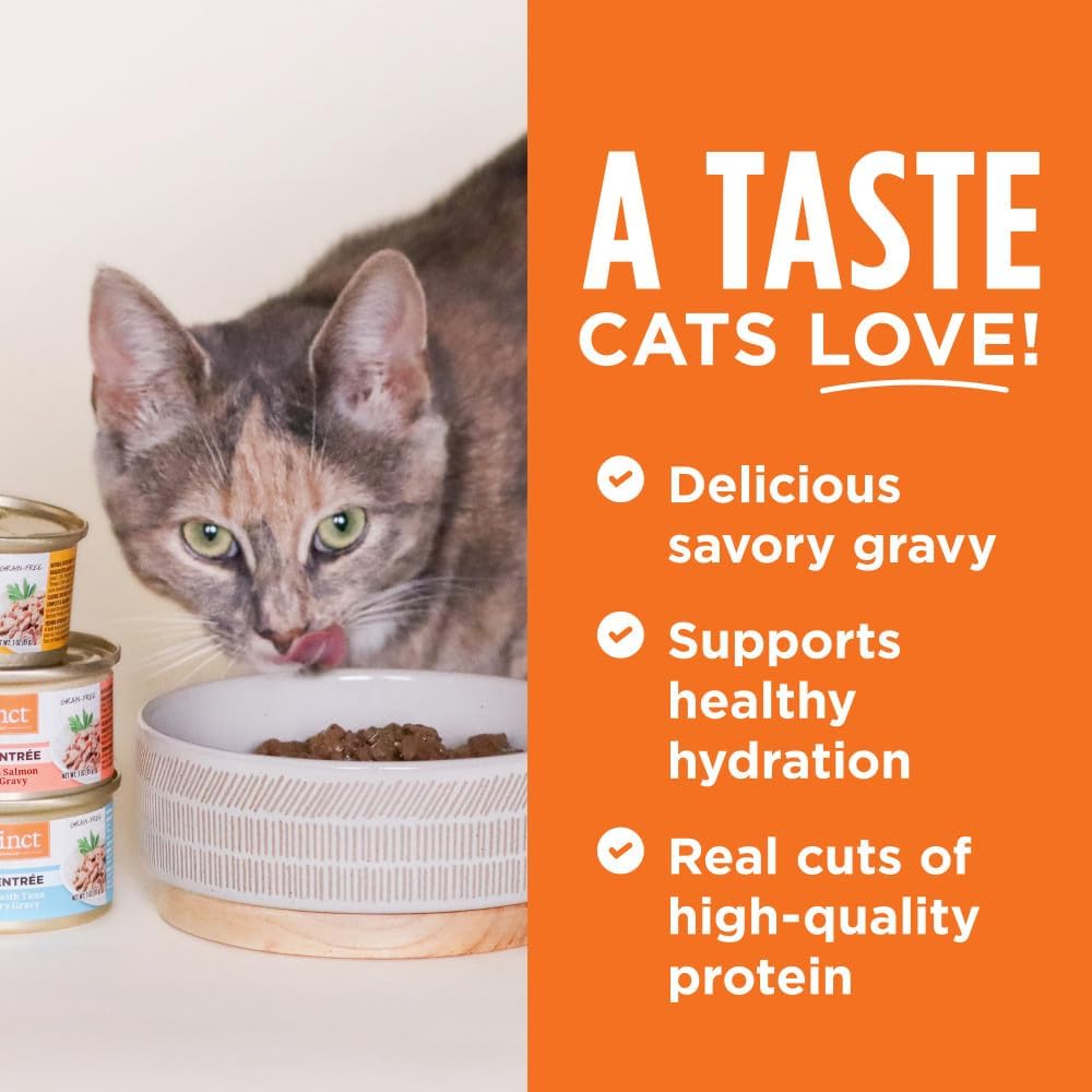 Instinct Flaked Entrée Wet Canned Cat Food - Salmon, 3 oz. Cans (Pack of 24)