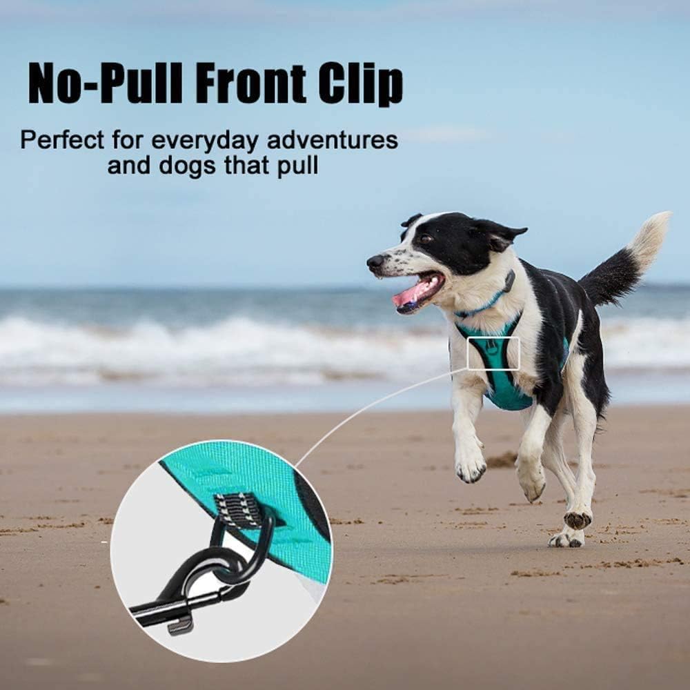 PoyPet No Pull Dog Harness, Reflective Comfortable Vest Harness with Front & Back 2 Leash Attachments and Easy Control Handle Adjustable Soft Padded Pet Vest for Small to Large Dogs (Mint Blue,L)
