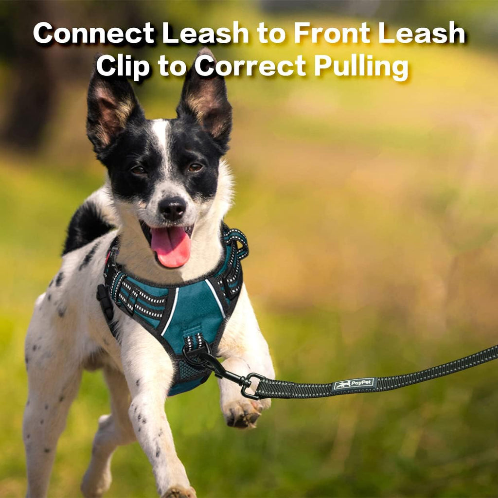 PoyPet No Pull Dog Harness, No Choke Front Clip Reflective Dog Vest with Soft Padded Vertical Handle, 3 Leash Attachments for Small Medium Large Dogs (Tumalo Teal,XL)