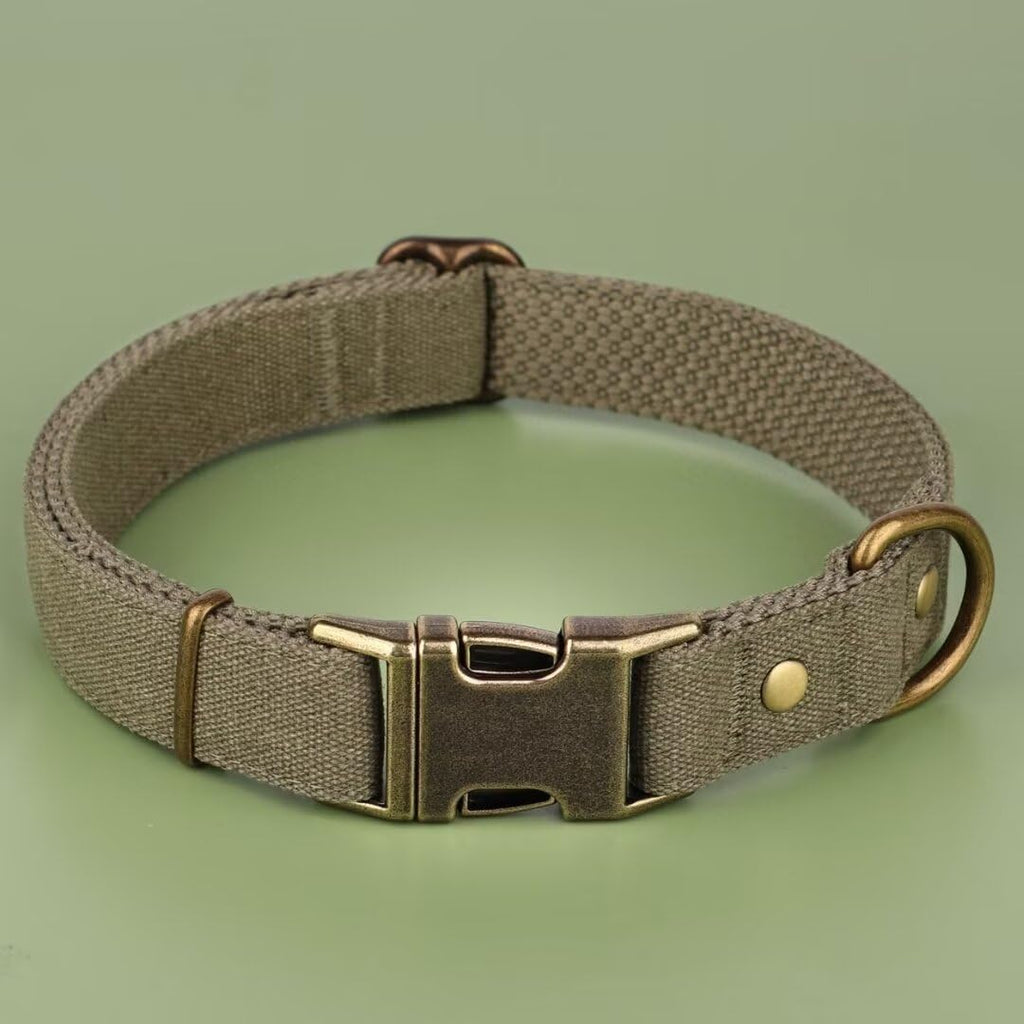 PET ARTIST Dog Collar for Large Dogs, Soft Padded Premium Nylon Dog Collar with Quick Release Metal Buckle, Durable & Adjustable Pet Collars for Boy Gifts, Green, L (Fit 15-22")