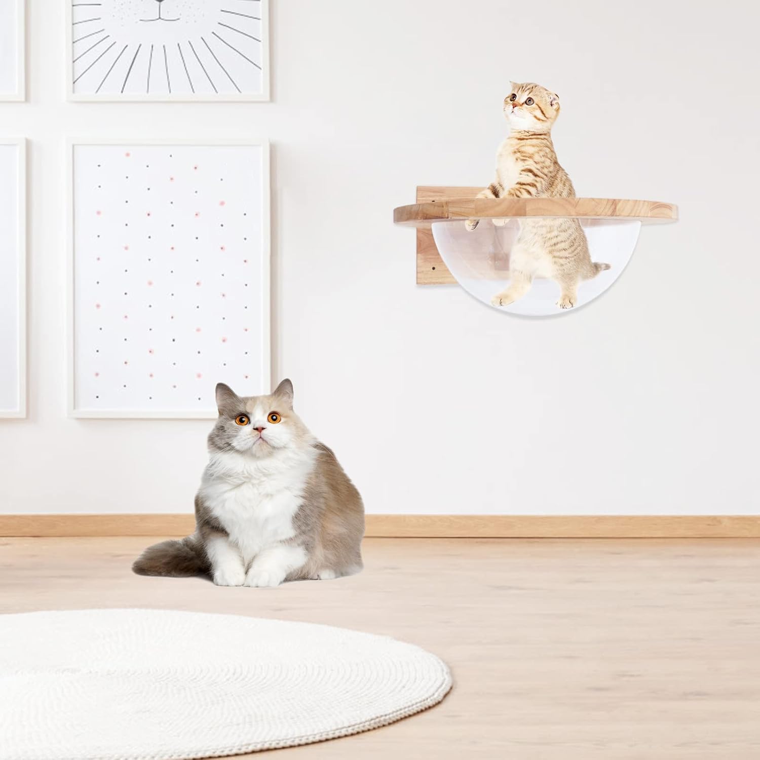 Wooden Cat Hammock, Clear Space Capsule Cat Bed, Wall-Mounted Kitten Walls Shelves Kitty Beds Small Pets Beds, Cats Toy Perch House for Sleeping, Playing, Climbing and Lounging
