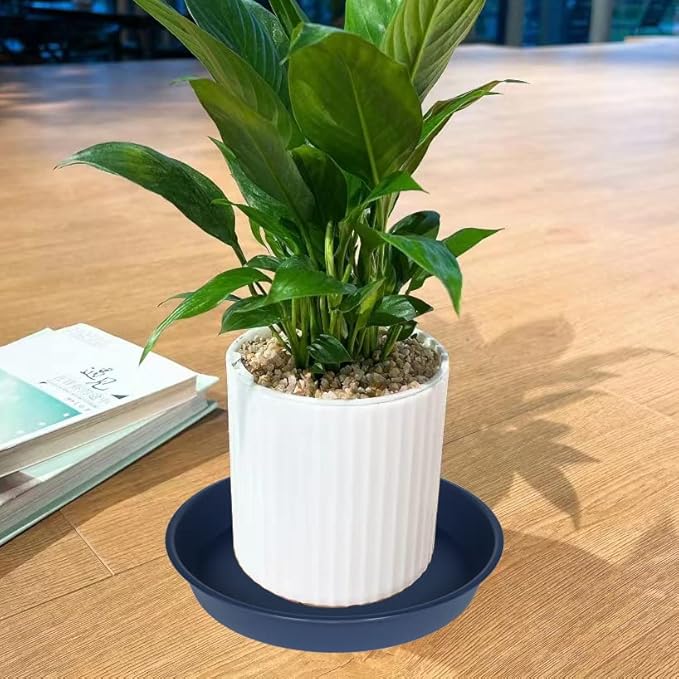 6 Pack Plant Saucer Drainage Tray, Plastic Plant Water Tray, 6 inch Flower - Image 4