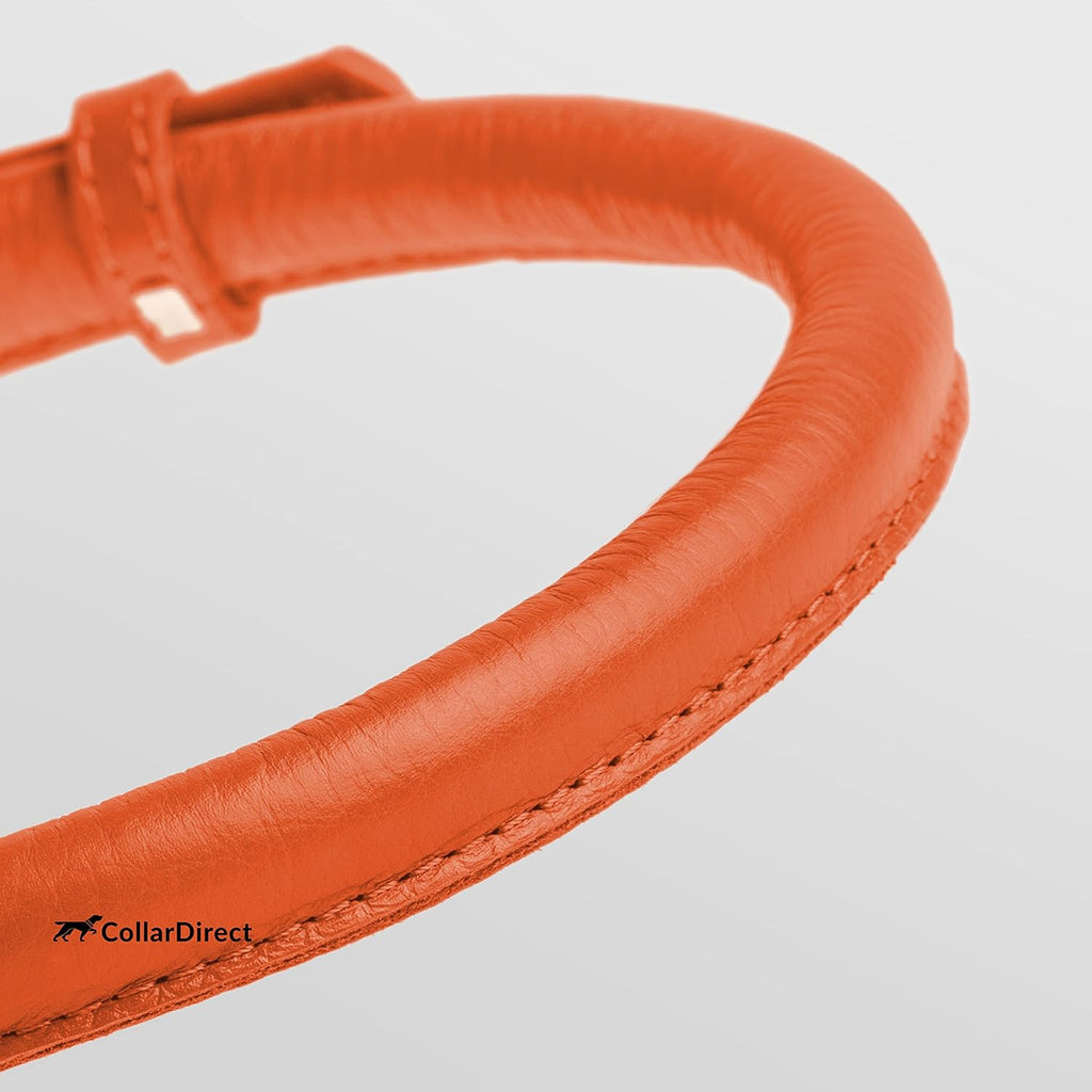CollarDirect Rolled Leather Dog Collar, Soft Padded Round Puppy Collar, Handmade Genuine Leather Collar Dog Small Large Cat Collars 13 Colors (6 Inch, Orange Textured)