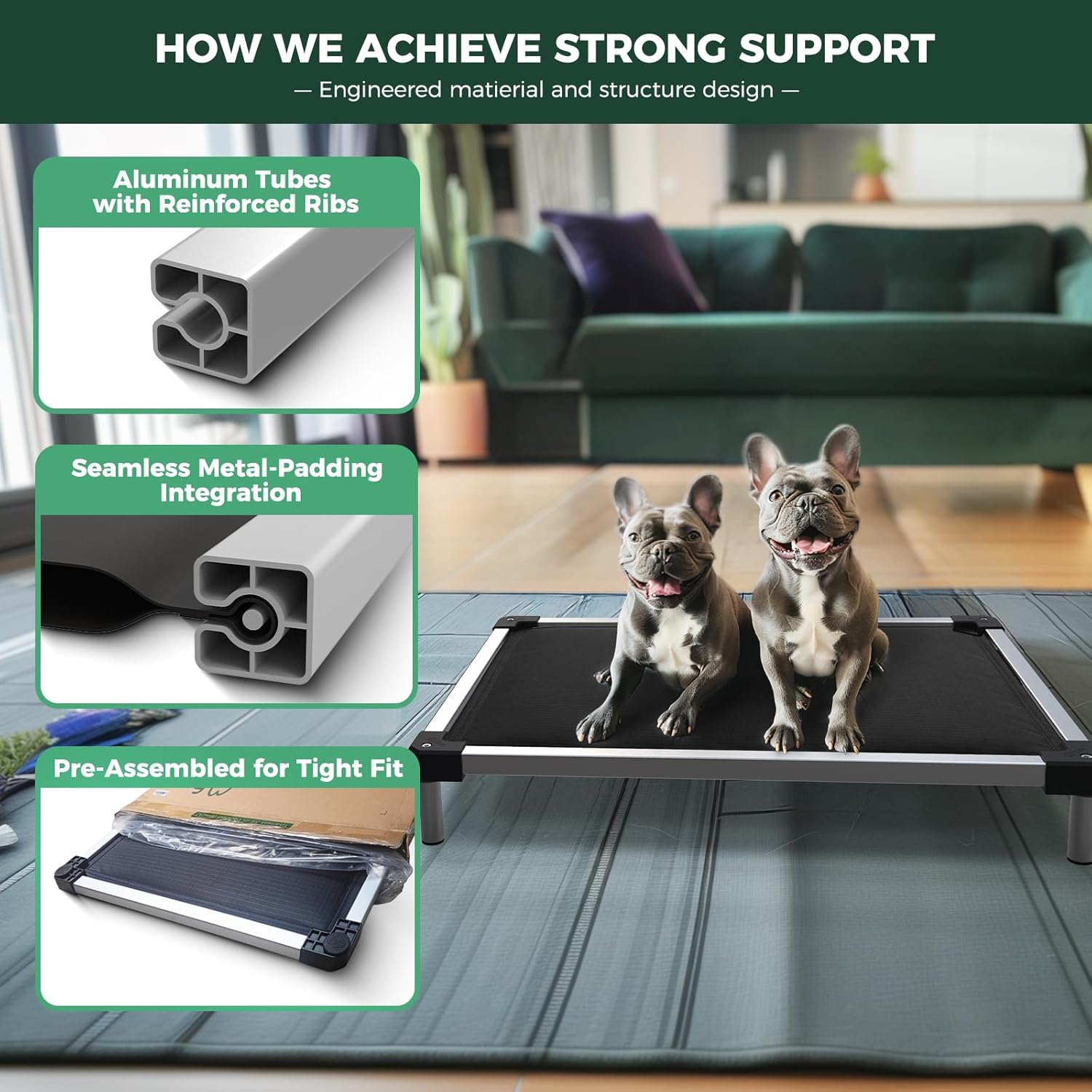 FXW TitanNest Chew-Proof Elevated Dog Bed, Raised Cot for Indoor/Outdoor/Camping Use, Durable & Washable Padded Pet Bed for Extra-Small Dogs, 29.0" L x 18.0" W x 4.5" H, Black