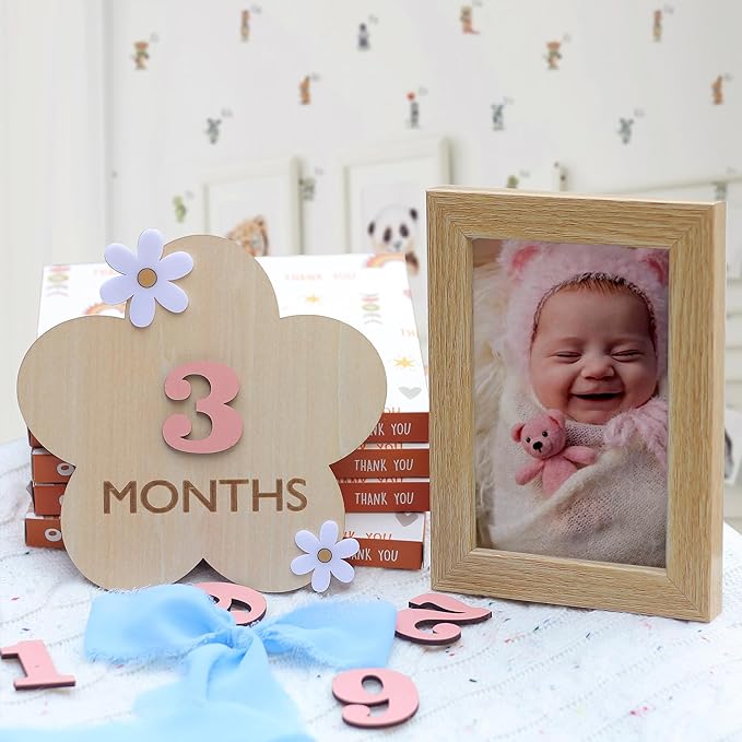 Daisy 3D Baby Monthly Milestone, Wooden Baby Milestone Signs, Monthly Milestone Wood Discs, Baby Milestone Discs (3D Flower)