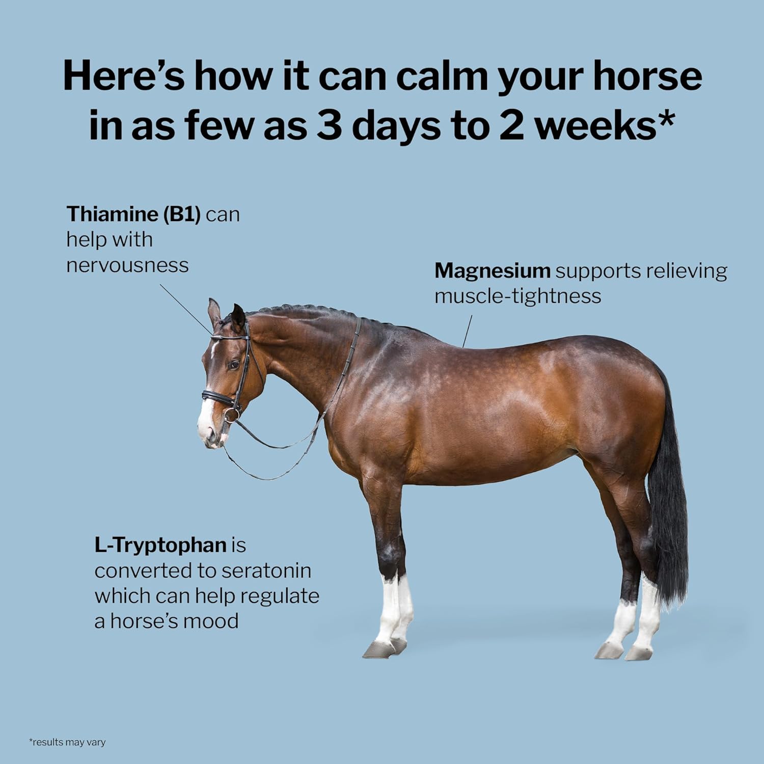 Formula 707 Calming Equine Supplement, Daily Fresh Packs – Anxiety Relief and Enhanced Focus for Horses – L-Tryptophan, Thiamine & Magnesium