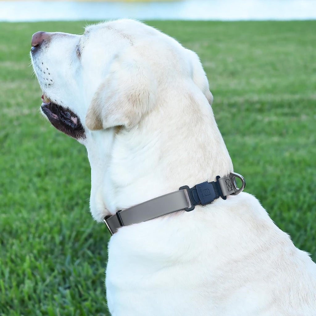Dogline Biothane Waterproof Dog Collar with Herm Sprenger Stainless Steel Quick Release Buckle – Heavy Duty Tactical Durable Collar for Dogs – Comfortable and Safe Pet Collar, W 3/4" L 12-19", Gray