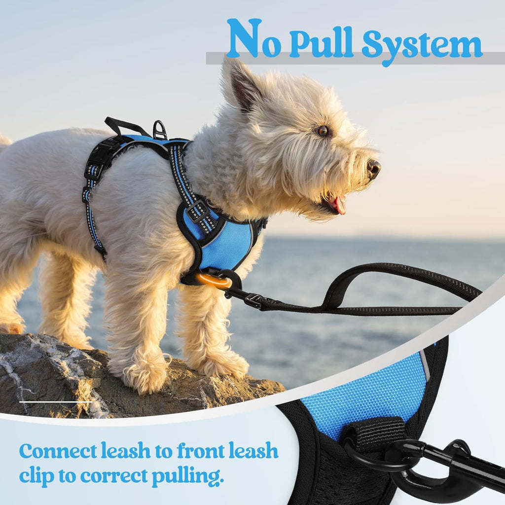 rabbitgoo Dog Harness No Pull with 2 Leash Clips, Adjustable Soft Padded, Reflective Oxford No Choke Pet Vest with Easy Control Handle for Puppy, Blue, XS