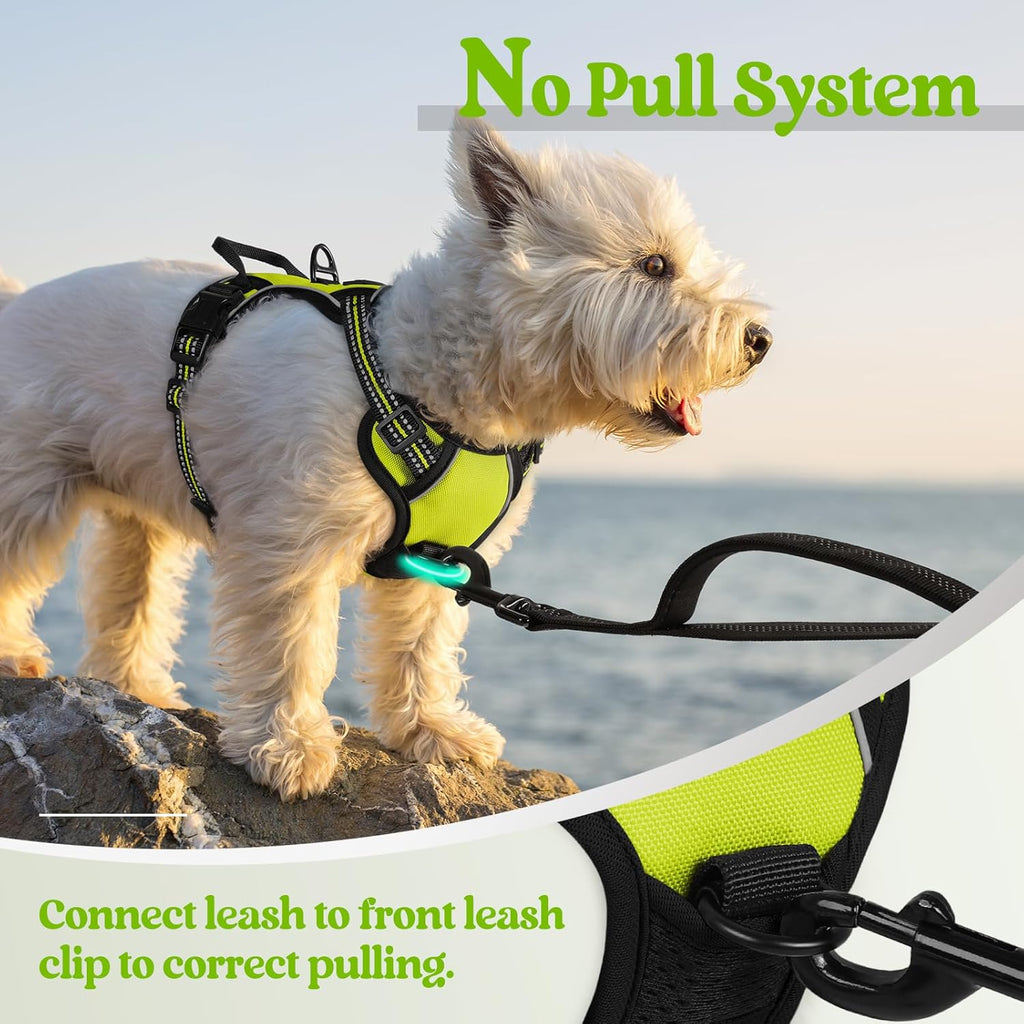rabbitgoo Dog Harness No Pull with 2 Leash Clips, Adjustable Soft Padded, Reflective Oxford No Choke Pet Vest with Easy Control Handle for Puppy, Green, XS
