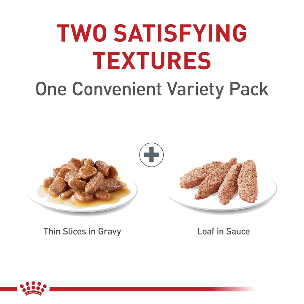 Royal Canin Feline Care Nutrition Digestive Care Wet Cat Food Variety Pack, 12 Pack, 2 Varieties, 3 oz Cans