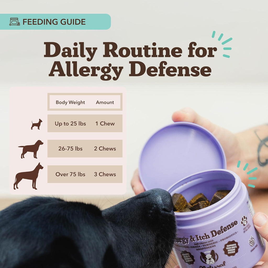 Natural Dog Company Allergy & Itch Defense Chews – Allergy Support for Dogs, Itch Relief, Skin, Coat & Gut Health with Probiotics, Colostrum & Salmon Oil, Grain-Free Dog Supplement, 90 ct