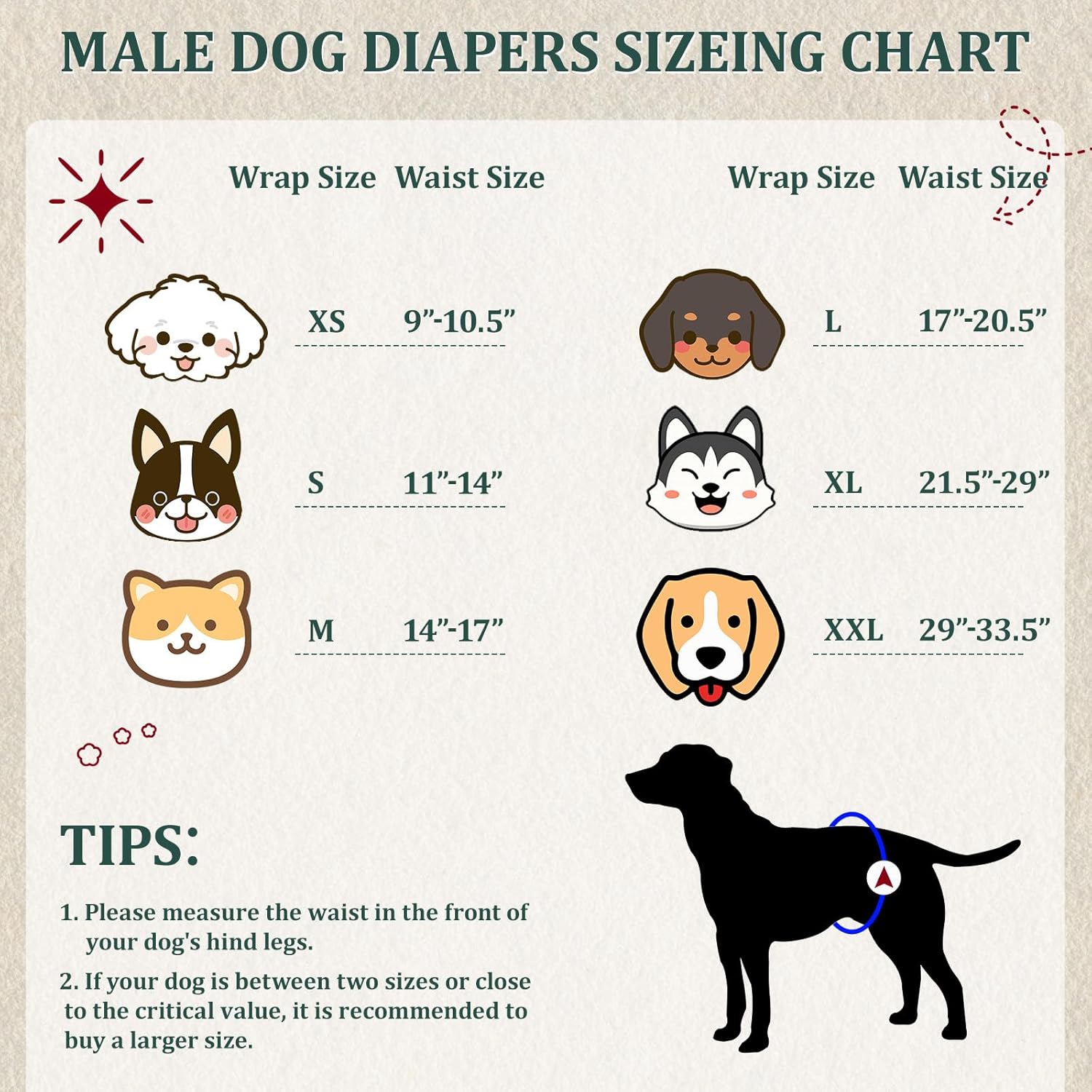 Reusable Dog Diapers Male, Premium Washable Belly Bands for Dogs, Pack of 5, High Absorbing Medium Male Dog Wraps for Doggie & Puppy in Incontinence or Excitable Urination and Training(M)