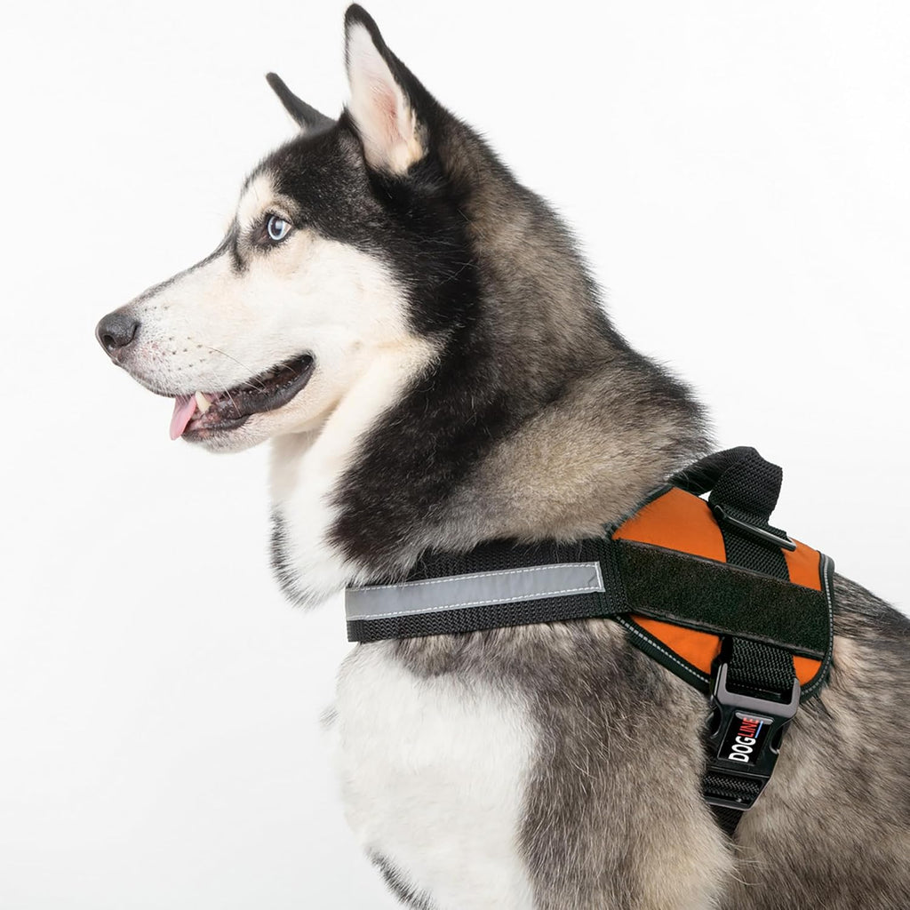 Dogline Dog Harness, Reflective No-Pull Adjustable Vest with Handle for Walking, Training, Breathable, No - Choke Harness for Small, Medium or Large Dogs Room for Patches Girth 33"-46" in Orange