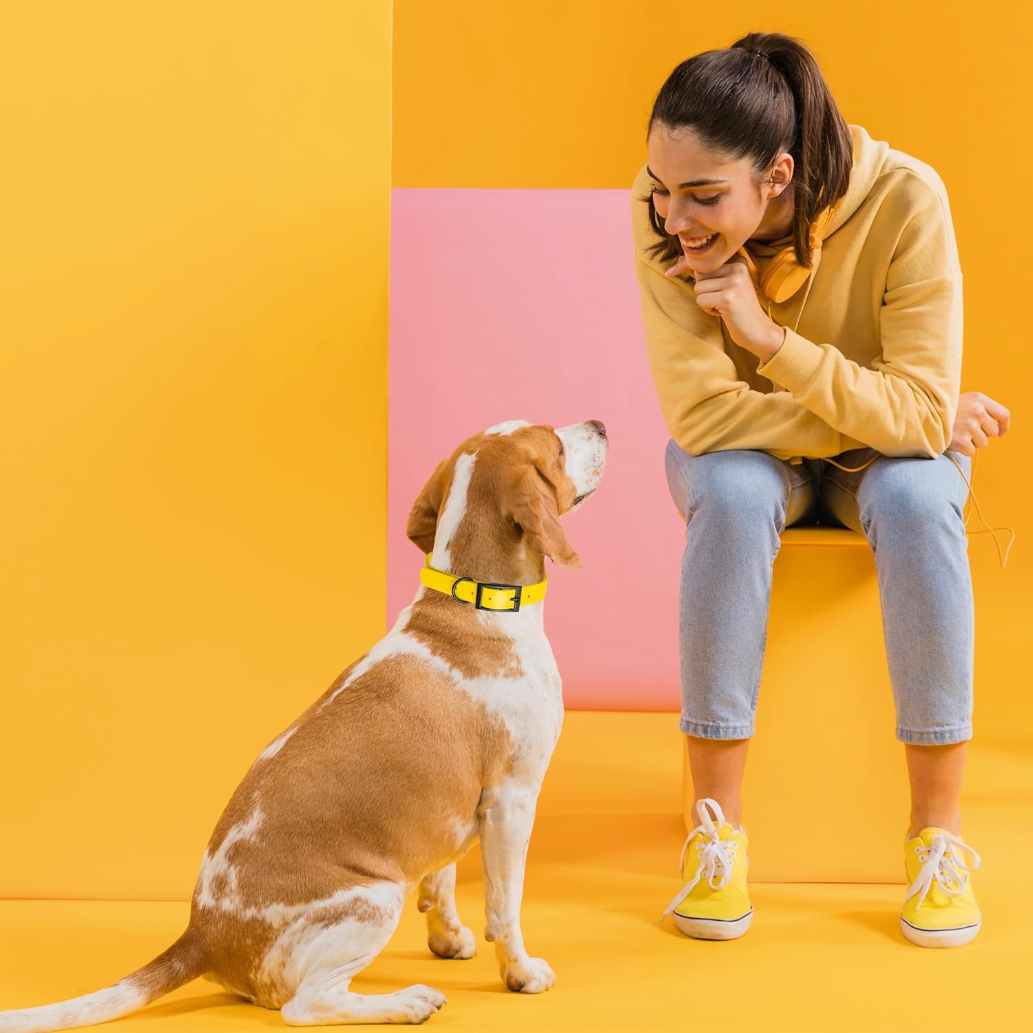Dogline Biothane Waterproof Dog Collar Strong Coated Nylon Webbing with Black Hardware Odor- Proof for Easy Care Easy to Clean High Performance Fits Small Medium or Large Dogs, Lemon Yellow