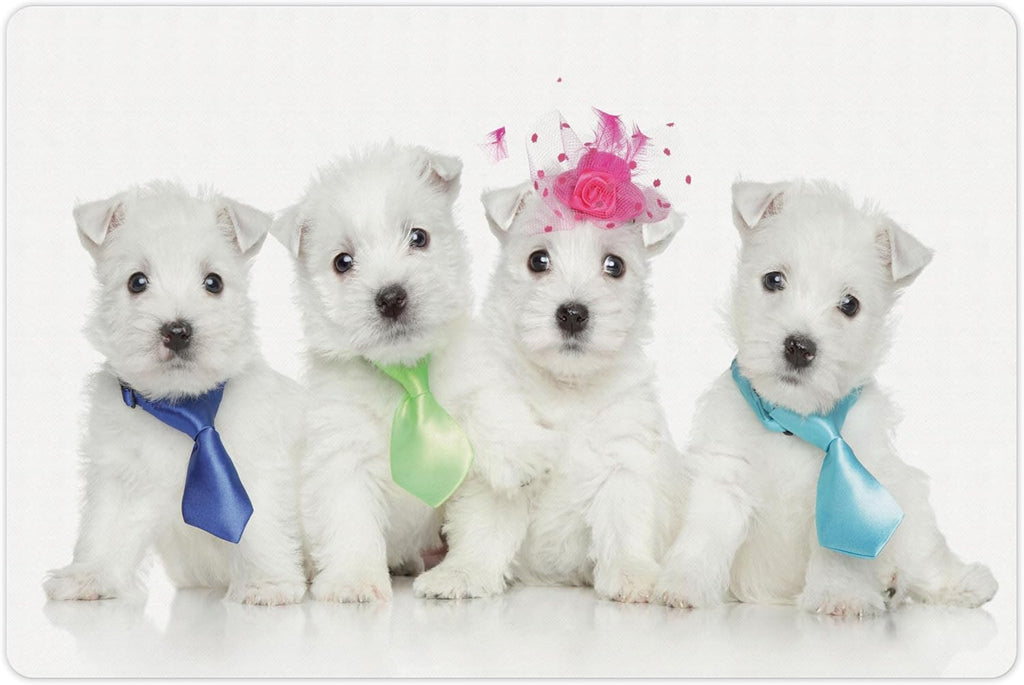 Lunarable Westie Pet Mat for Food and Water, Group of West Highland White Terrier Puppies on Plain Background Animal Pattern, Non-Slip Rubber Mat for Dogs and Cats, 18" X 12", Pink and White