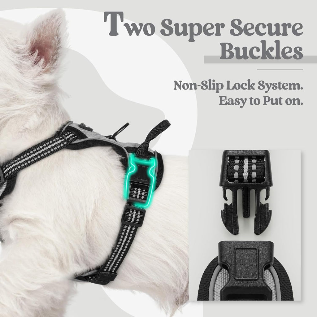 rabbitgoo Dog Harness No Pull with 2 Leash Clips, Adjustable Soft Padded, Reflective Oxford No Choke Pet Vest with Easy Control Handle for Puppy, Grey, XS
