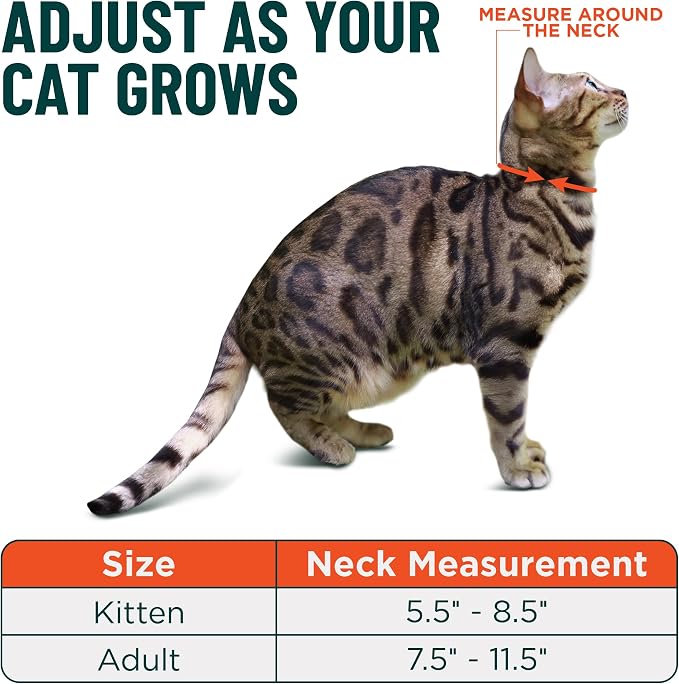 OutdoorBengal Green Breakaway Kitten Collar - Image 5