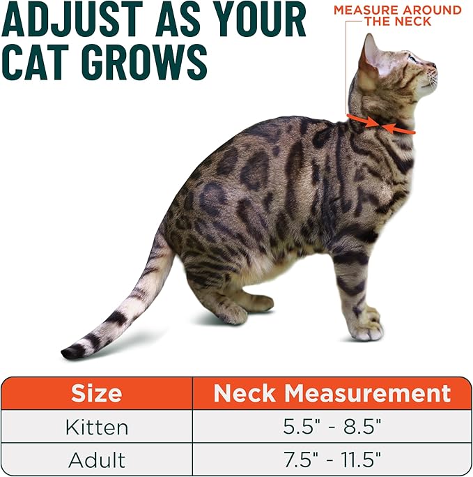 OutdoorBengal Black Cat Collar Breakaway, Soft Padding - Image 5