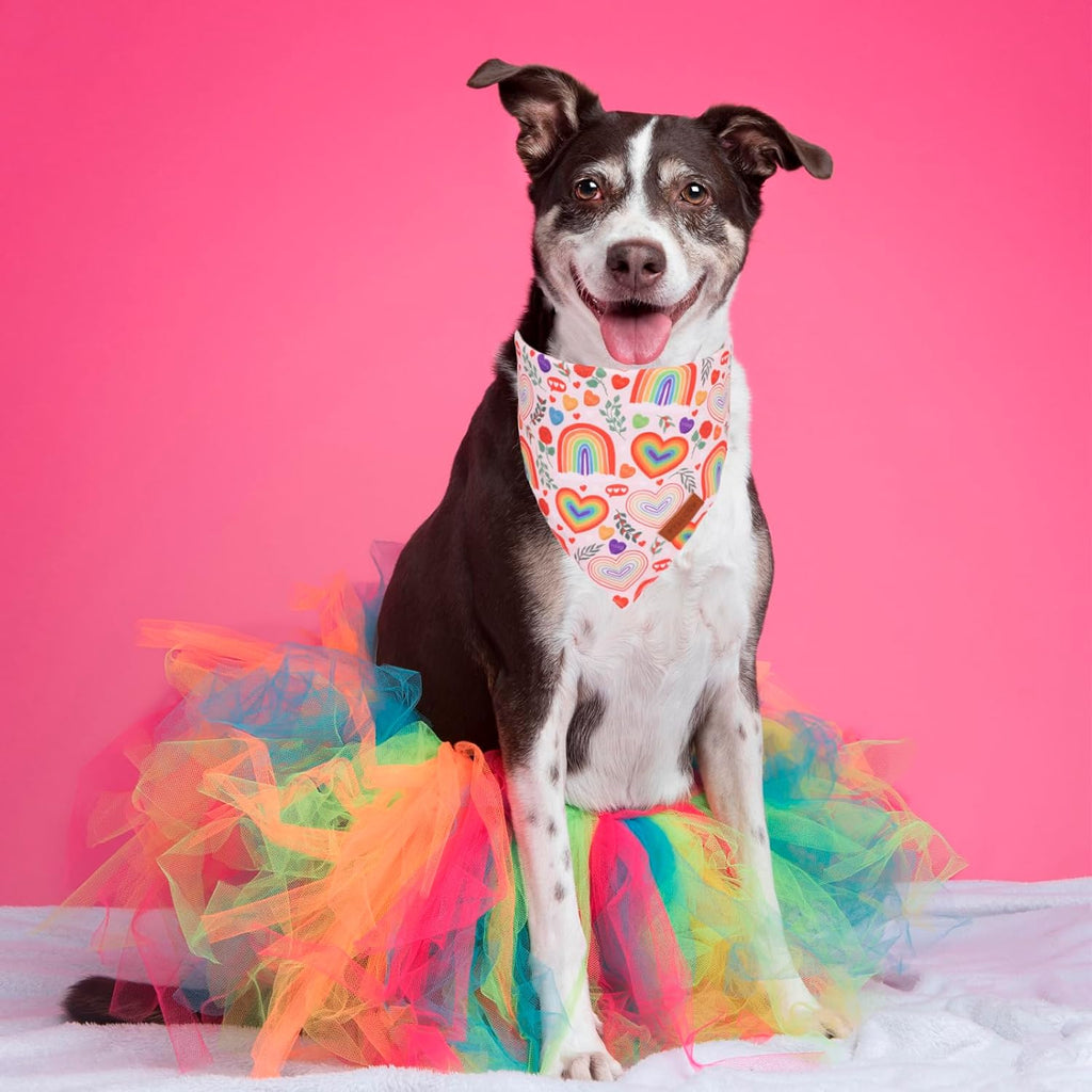 PTDECOR Rainbow Dog Bandanas Pride Day Dog Scarf Reversible Triangle LGBT+ Rainbow Bandanas for Extra Large Dogs Pets (Pride, X-Large)