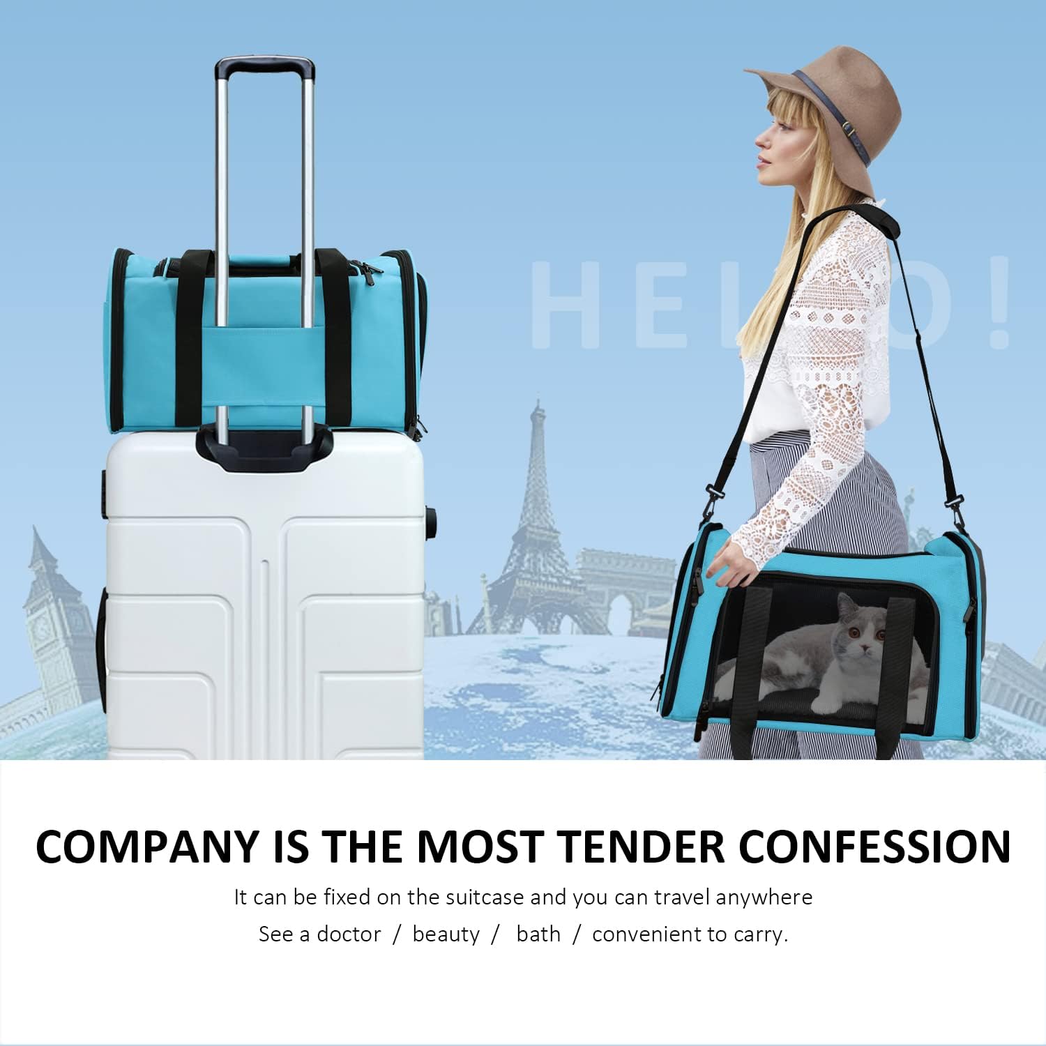 Large Cat Carriers Dog Carrier Pet Carrier for Large Cats Dogs Puppies up to 25Lbs, Big Dog Carrier Soft Sided, Collapsible Travel Puppy Carrier - Large - Blue