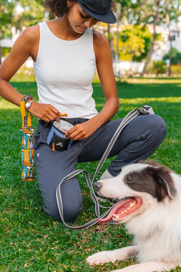 OllyDog, Goodie Treat Bag, Dog Treat Training Pouch | Magnetic Closure | 3 Ways - Image 3
