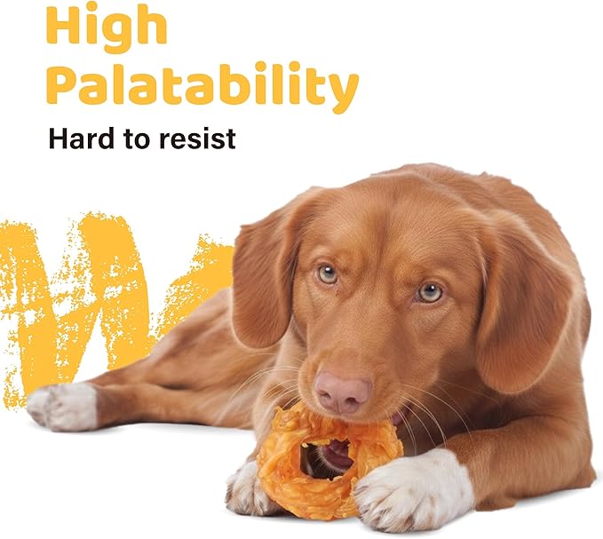 iPaw 10 Pcs Value Pack Turkey Tendons - Image 4