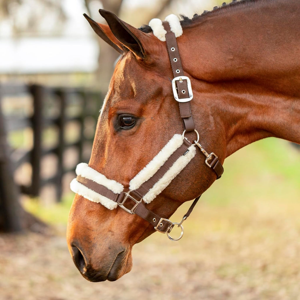 Equinavia Valkyrie Soft Ultra Fleece Padded Adjustable Breakaway Horse Halter - Brown/Ivory White - Cob
