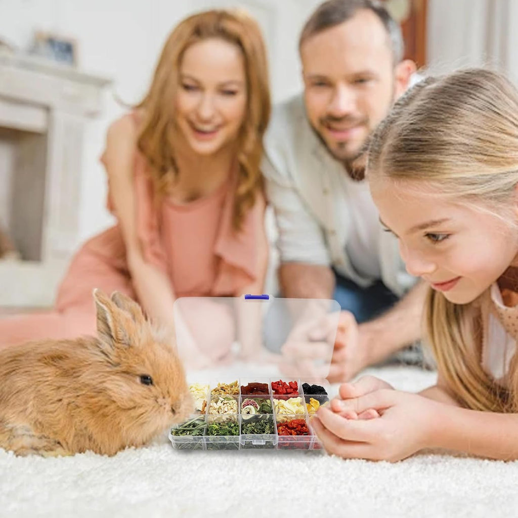 Bunny Treats, Treat Box with 15 Kind of Snacks for Rabbit, Hamster, Chinchilla, Guinea Pig and Other Small Pets, Chinchilla Treats, Guinea Pig Treats, Hamster Treats
