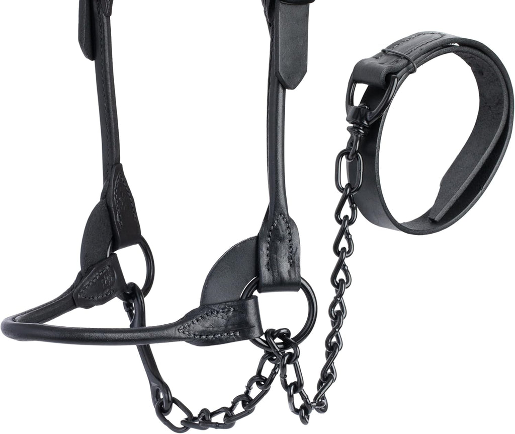 Weaver Livestock Leather Magic Show Cattle Halter, Adjustable, Modern Style Cow Calf Halter, Livestock Handling Equipment for Showing, Black