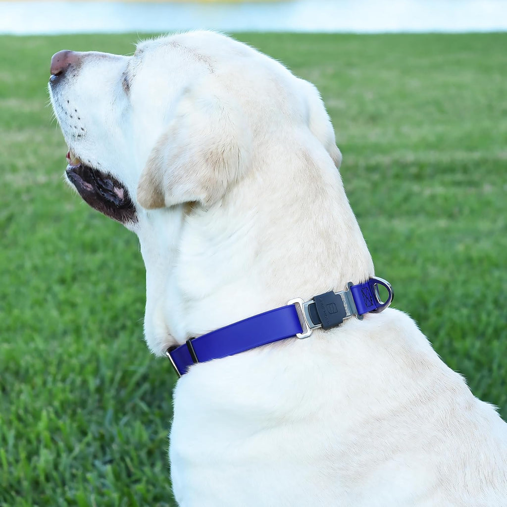 Dogline Biothane Waterproof Dog Collar with Herm Sprenger Stainless Steel Quick Release Buckle – Heavy Duty Tactical Durable Collar for Dogs – Comfortable and Safe Pet Collar W 1" L 15-25" Blueberry