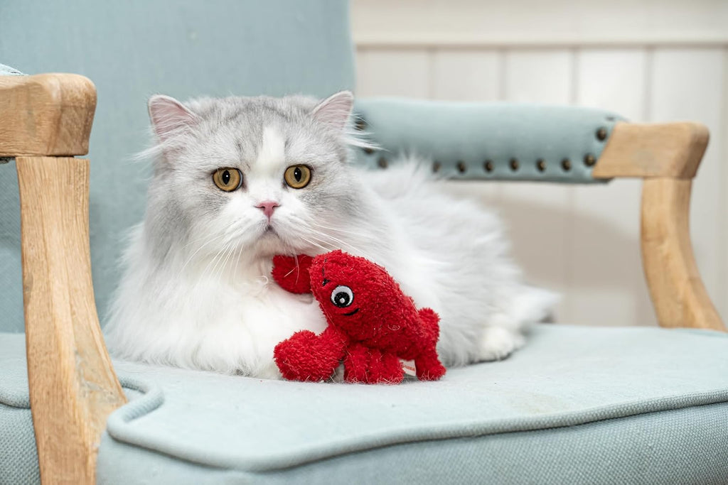 Interactive Catnip Cat Plush Toy, Ocean Theme, 5'', for All Breed Size Cats (Lobster)