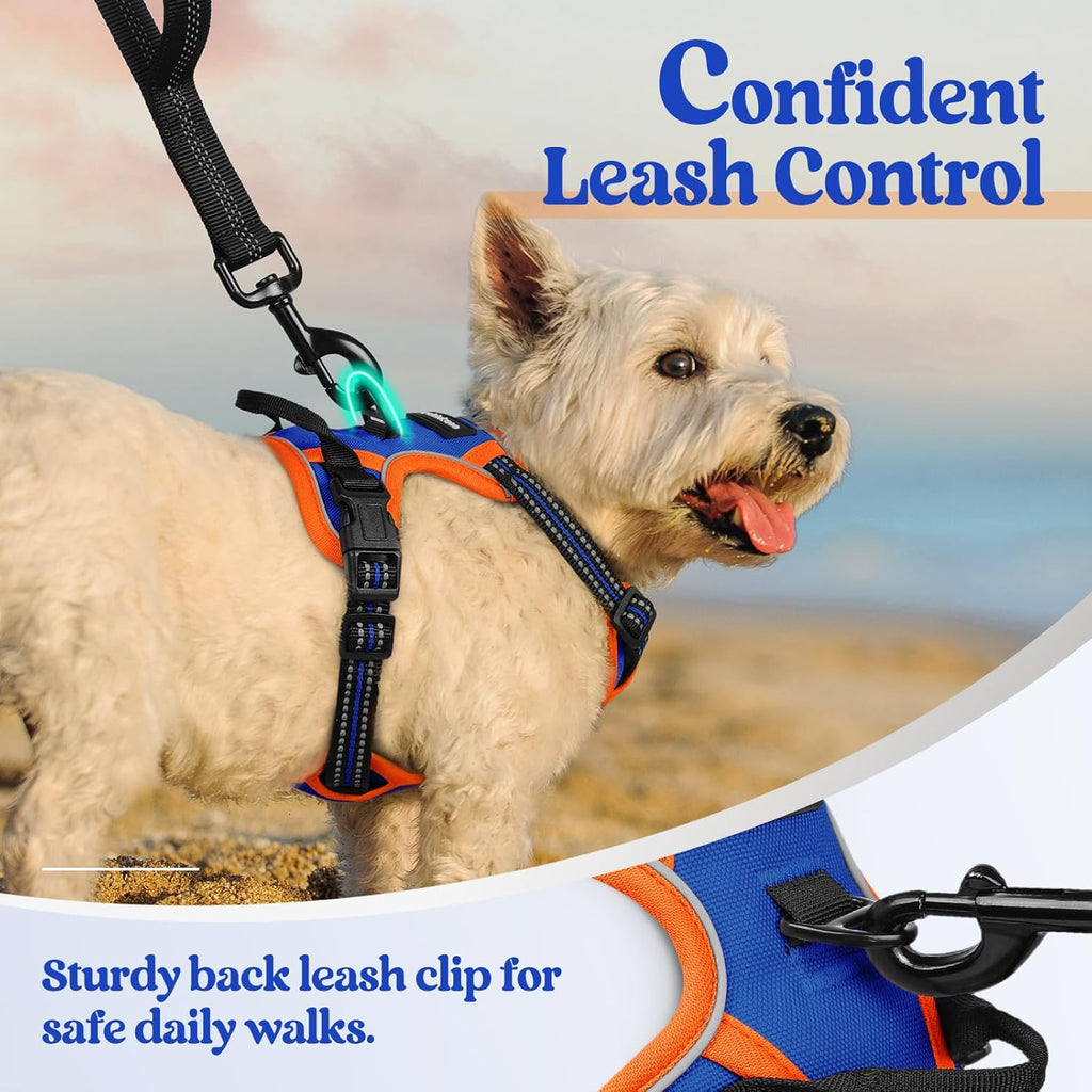 rabbitgoo Dog Harness No Pull with 2 Leash Clips, Adjustable Soft Padded, Reflective Oxford No Choke Pet Vest with Easy Control Handle for Puppy, Blue & Orange, XS