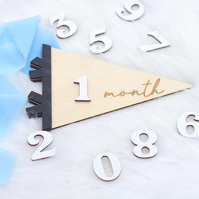 Daisy 3D Baby Monthly Milestone, Wooden Baby Milestone Signs, Monthly Milestone Wood Discs, Baby Milestone Discs (Flag)
