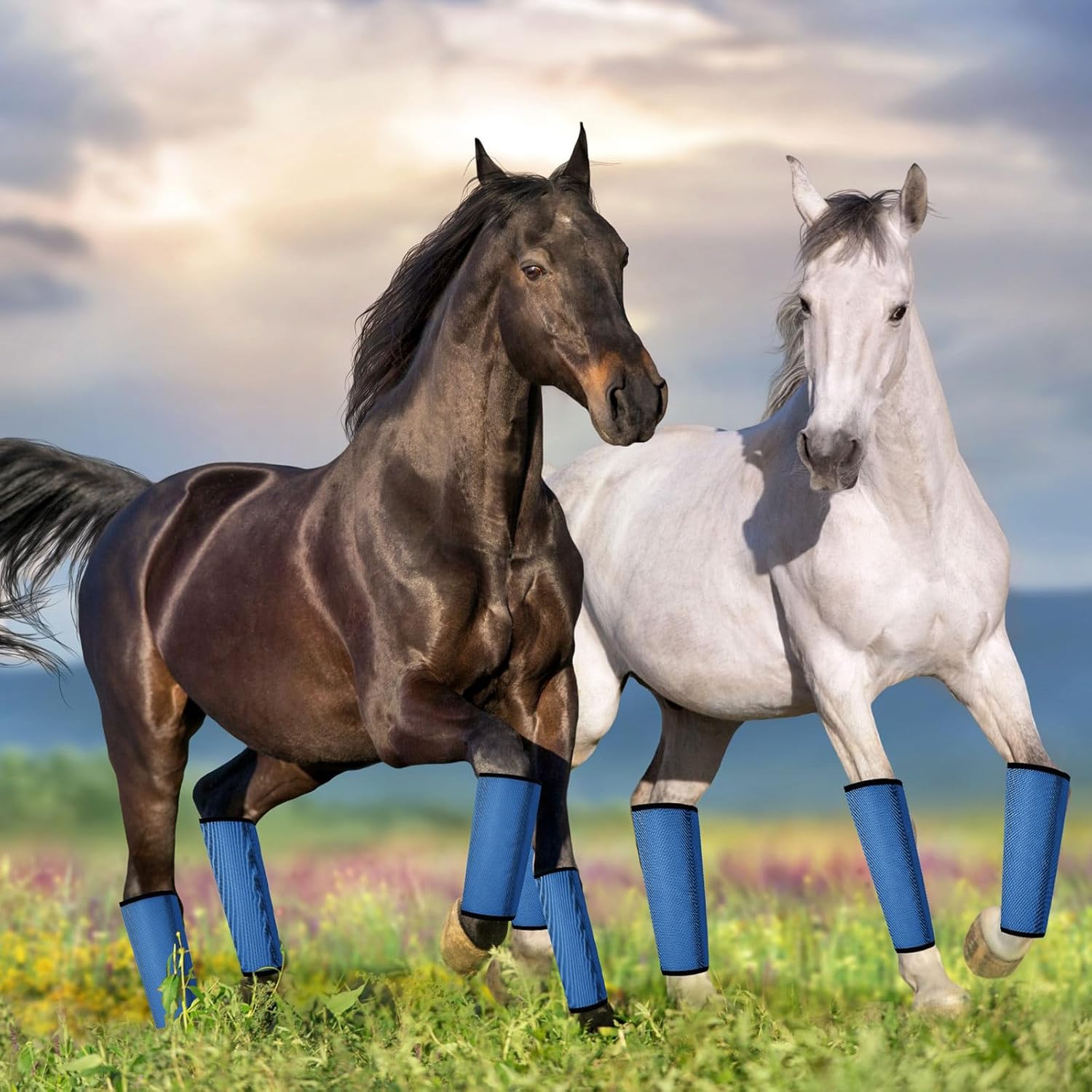 Jexine 12 Fly Boots for Horse Set of 12 Loose Breathable Mesh Horse Fly Sheets Protective Horse Leg Wraps Leggings for Preventing Flies and Mosquitoes Bites(Blue)
