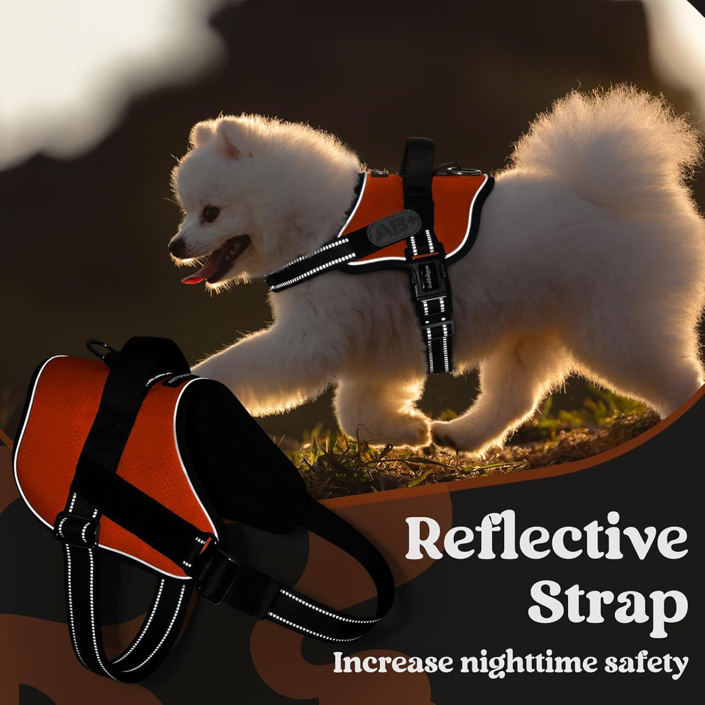 rabbitgoo Dog Harness for Small, Easy On Pet Vest with One Buckle, No Pull Adjustable Service Harness with D-Ring & Handle, Reflective for Safety Walking, Training, Orange, S