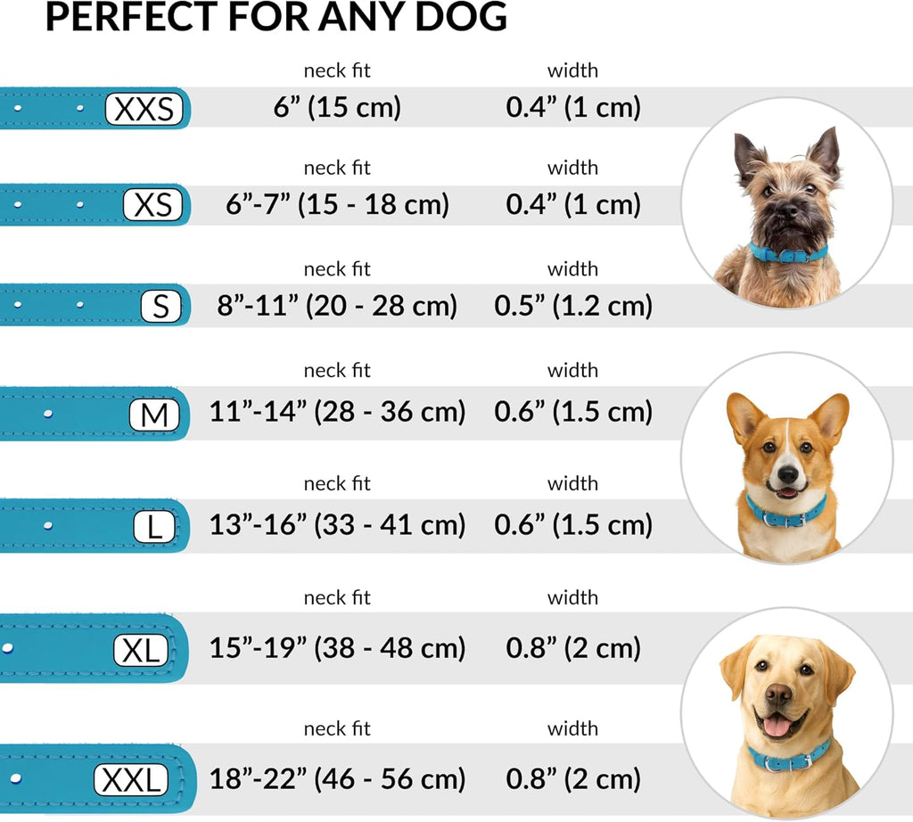 CollarDirect Rolled Leather Dog Collar, Soft Padded Round Puppy Collar, Handmade Genuine Leather Collar Dog Small Large Cat Collars 13 Colors (15-19 Inch, Light Blue)