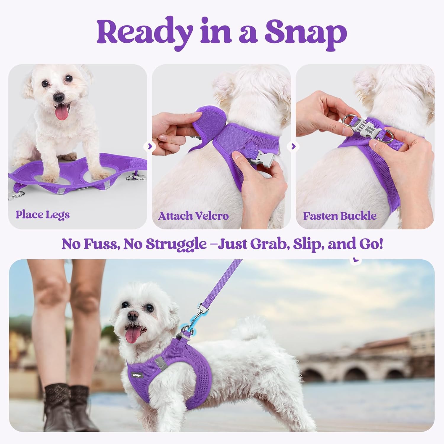 rabbitgoo Dog Harness Small Sized and Leash Set, Step in Soft Light Puppy Vest, Breathable Mesh Pet Harness, Reflective for Safe Outdoor Walking, Purple XXS