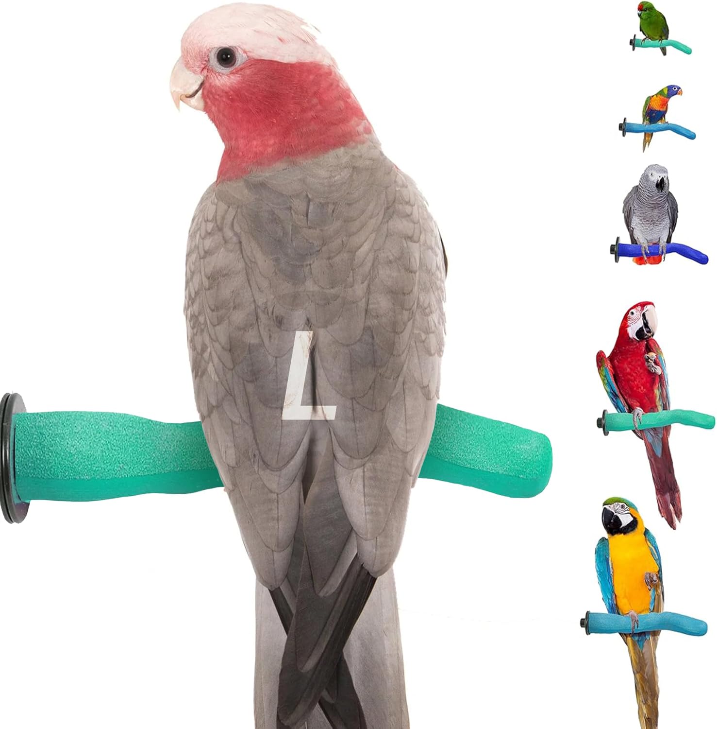 Brid Cage Safety Pumice Perch - Trims Nails and Beak - Promotes Healthy Nails and Beaks - Safe Non-Toxic Bird Supplies for Bird Cages - Large 12"