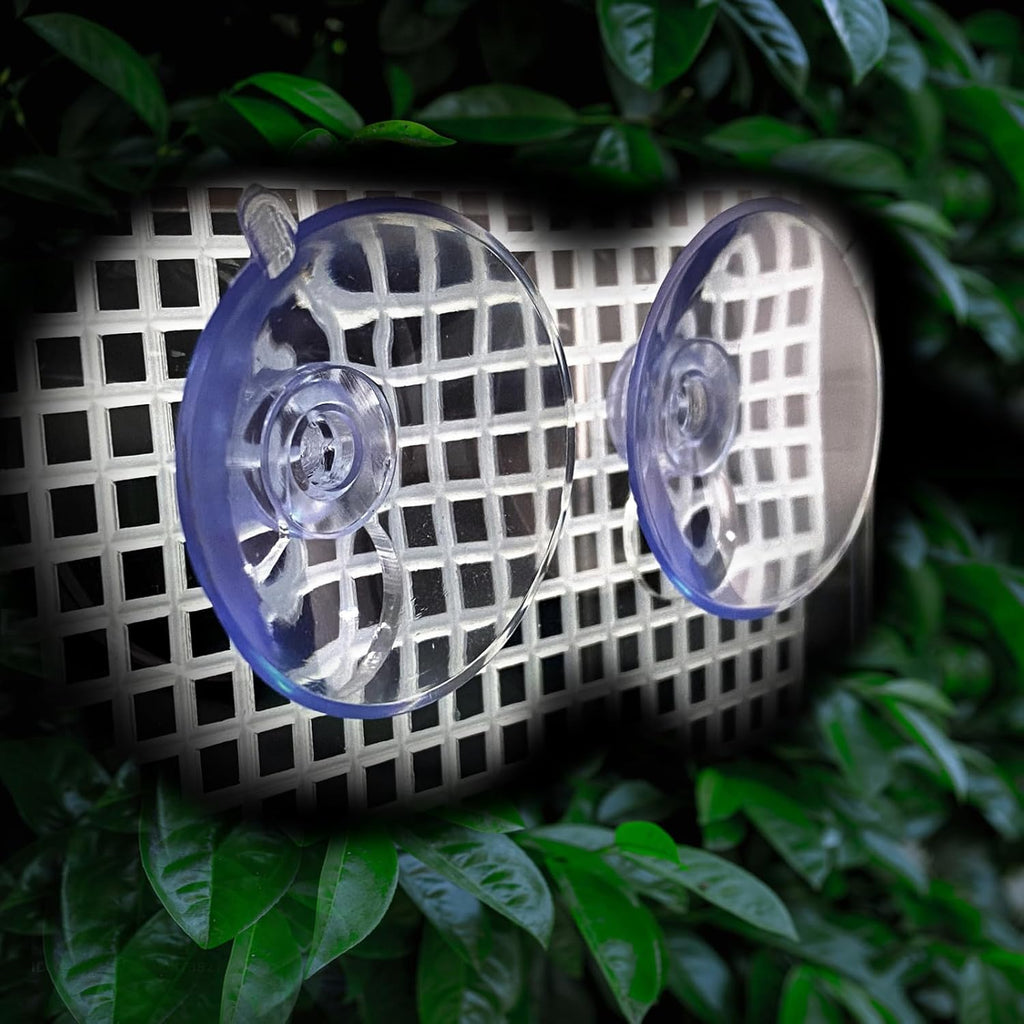 Bearded Dragon Feeder, Transparentk Acrylic Reptile Feeder Box, Chameleon Bug Bowl, Wall-Mounted Insect Feeder with Suction Cups, Tank and Aquarium Accessories for Lizard Bearded Dragon Frog