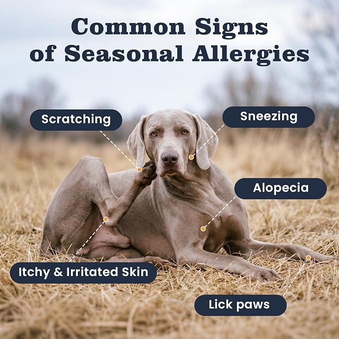 Dog Allergy Chews 200 Treats, Allergy & Itch Skin Relief Omega 3 Fish Oil - Image 2