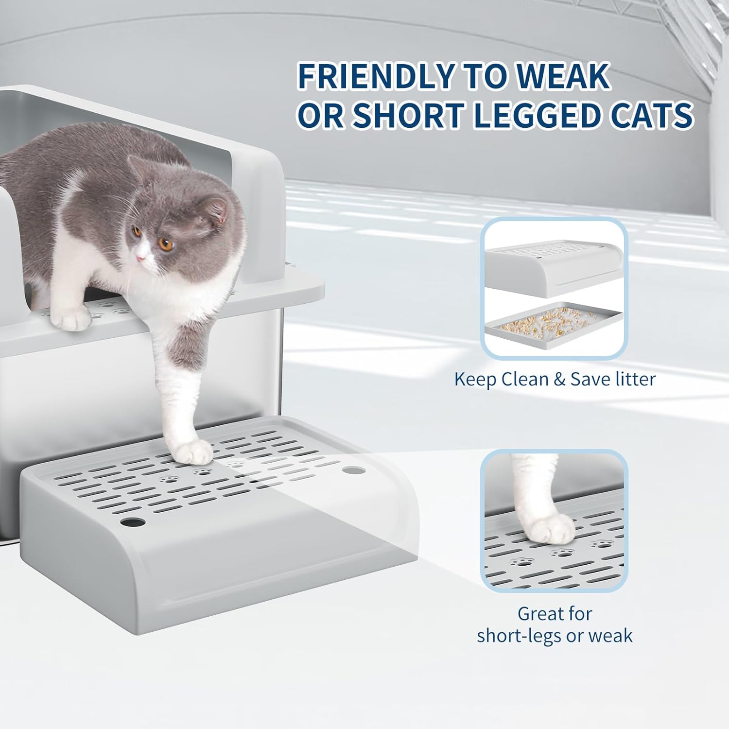 Stainless Steel Cat Litter Box 6 inch, XXL Large Cat Litter Tray with High Side, Platform Step and Scoop for Big Cats Multiple Cats, Easy Clean